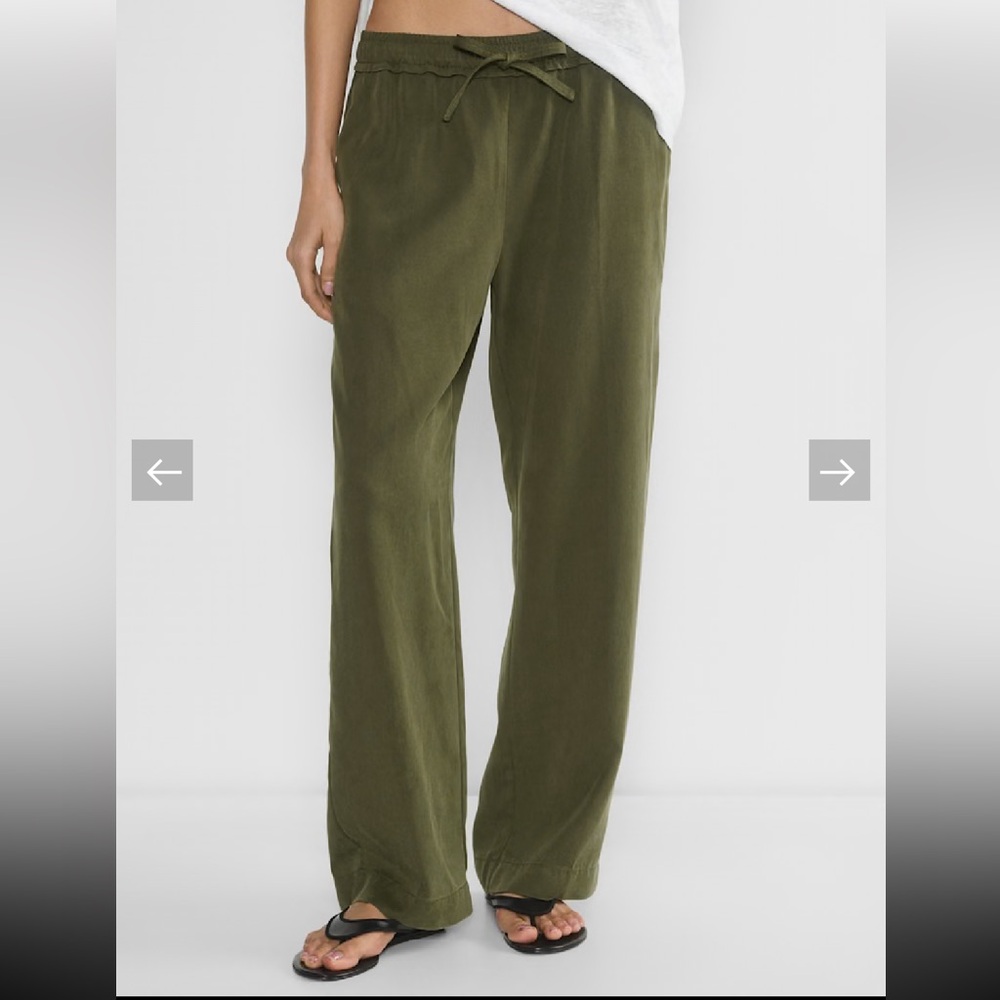 Aritzia Little Moon Winifred Pant Wide-Leg
